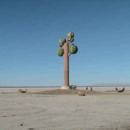 130x130_810265