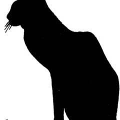 320x240_175669