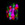 25x25_5805074