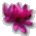 36x36_78007