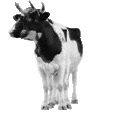 120x120_57074
