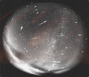 130x130_700183