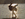 25x25_700188
