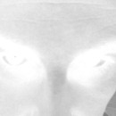 130x130_702569