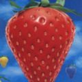 120x120_544058