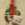 25x25_8320846