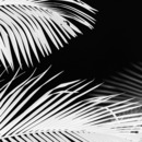 130x130_4659913