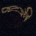 120x120_1599978