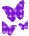 36x36_4943789