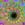 25x25_5602694