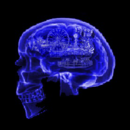 130x130_5686089