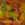 25x25_1786575