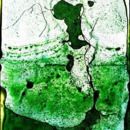 130x130_2053397