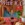 25x25_1116523