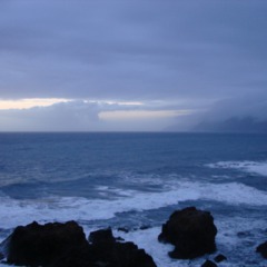 320x240_1122091