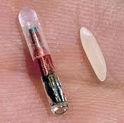RFID chip compared with a grain of rice