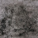 130x130_2319442