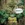 25x25_5481866