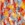 25x25_4671131