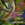 25x25_7755006
