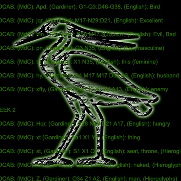 VOCAB: with Bennu - VOCAB with Bennu Revision of Week Thirteen