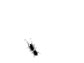 120x120_1836902
