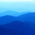 120x120_1895207