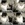 25x25_5995705