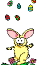 130x130_2826371