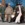 25x25_2004977