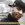 25x25_3132800