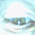 120x120_2263714