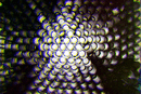 130x130_3921845