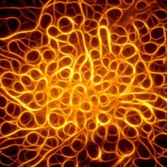 320x240_2389422