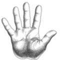 120x120_5202929