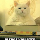 130x130_2718460