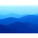 130x130_4518340