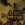 25x25_5180970
