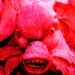 cotnpodcast.podomatic.com