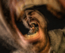 130x130_4261861