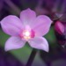 goodhealthandwellbeing.podomatic.com