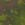 25x25_4805563