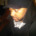 36x36_5589515