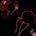 36x36_3717382