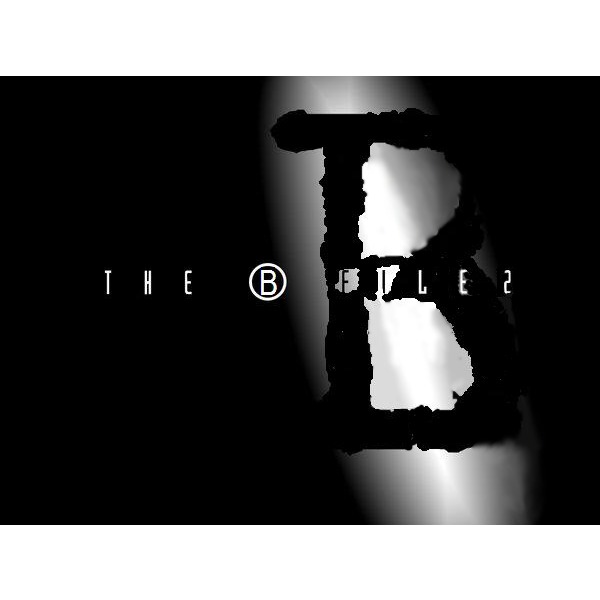 The Boston Filez