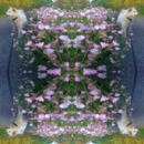 130x130_3619749