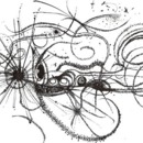 130x130_3603514