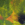 25x25_4570859
