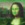 25x25_3797687