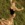 25x25_6420650